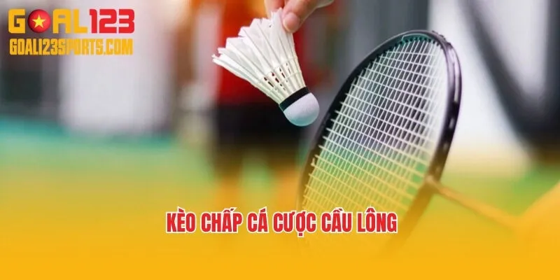 Kèo chấp cá cược cầu lông