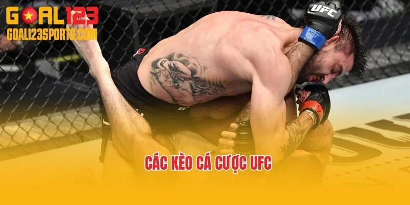 Các kèo cá cược UFC