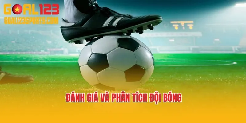 Đánh giá và phân tích đội bóng